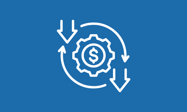 Ora Icon Cost Reduction